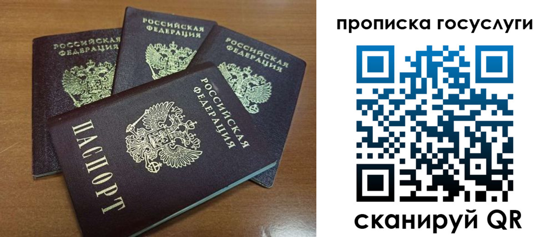 прописка 2025 в Котовске